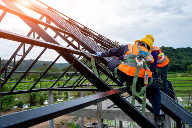 Best Roof Gutter Cleaning  in Cut Off, LA