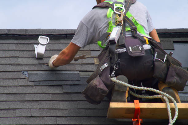 Best Shingle Roofing Installation  in Cut Off, LA