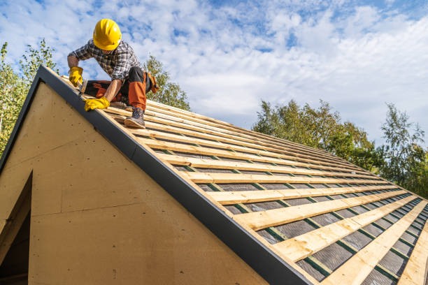 Best Roof Repair Services  in Cut Off, LA